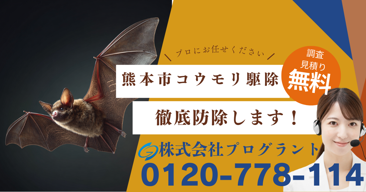 熊本市　コウモリ駆除　プログラント